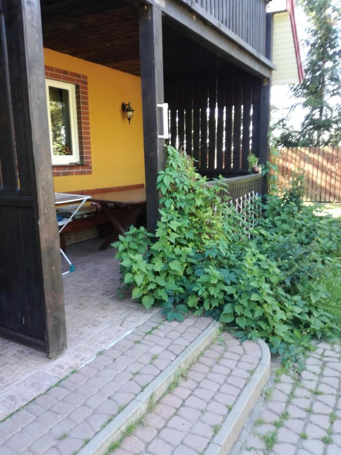 Domek Letniskowy Ali Przejma Wielka Kültér fotó